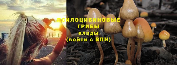 2c-b Абдулино
