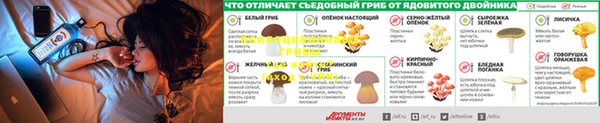 mdpv Алексин