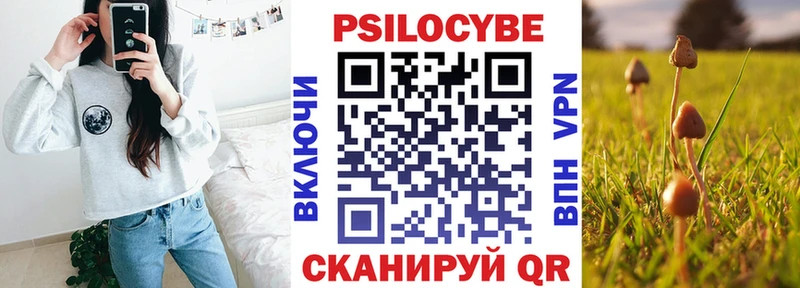 купить наркотик  Нолинск  Галлюциногенные грибы Psilocybine cubensis 